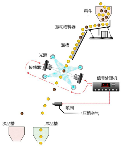色選機 產(chǎn)品檔次分類設(shè)備(圖2) 色選機